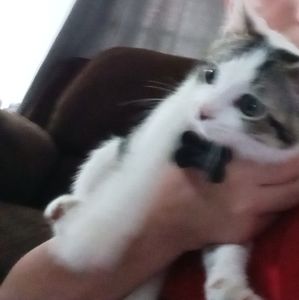 Meet your Posher, Jacob